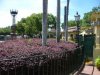 P1070298 - Copy.JPG