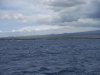 DSCF1400 (2).jpg