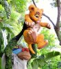 Simba.jpg