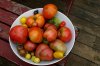 7 19 14 good haul enh.jpg