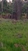IMG_20150403_193753819.jpg