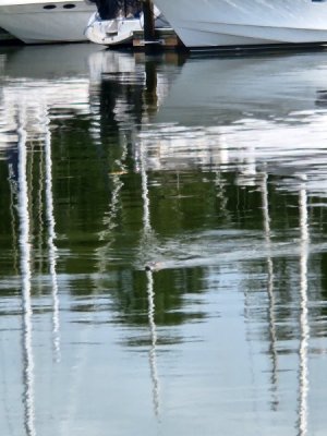 20240928_094003.jpg