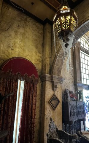 IMG_2024-10-02-195951.jpg