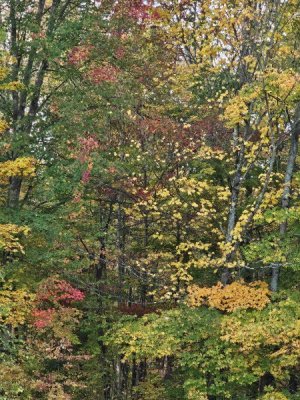 20241003_081407.jpg
