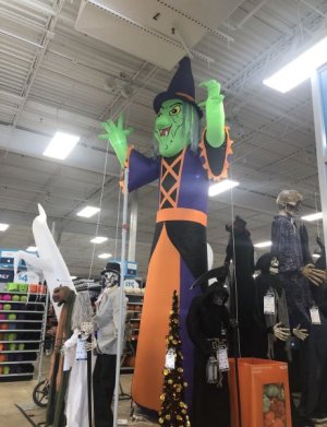 IMG_6135.jpeg