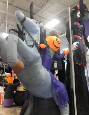 IMG_6139.jpeg