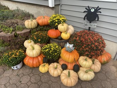 IMG_0804.jpeg