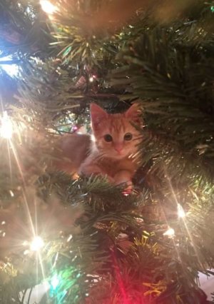 IMG_3313.jpeg