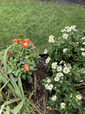IMG_3931.jpeg