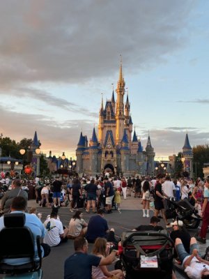 IMG_1501.jpg