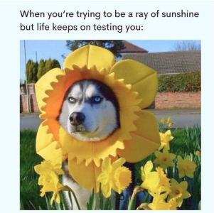 1728092478683.png