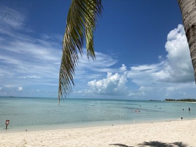 IMG_4743.jpeg