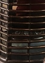 IMG_7823.jpeg
