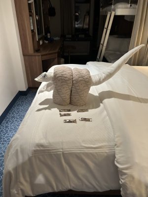 1728219702284.jpeg