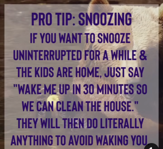 1728340242366.png