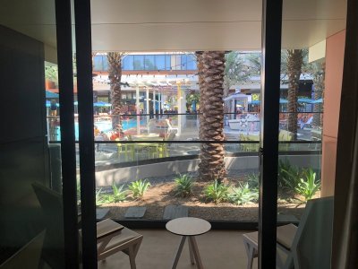 IMG_3679.jpeg
