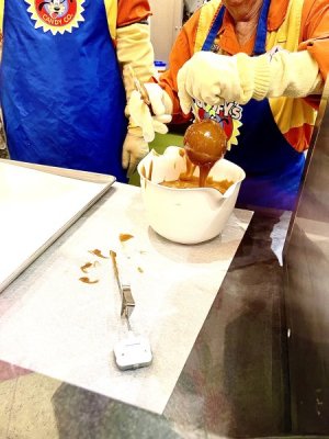 IMG_1508.jpeg