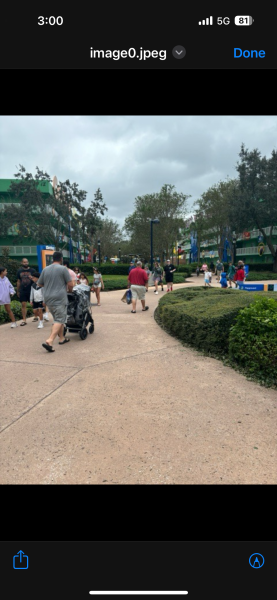 IMG_3440.png
