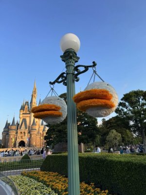 IMG_6613.jpeg