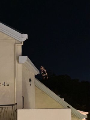 IMG_6763.jpeg