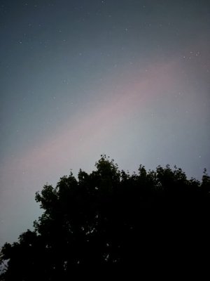 IMG_6353.jpeg
