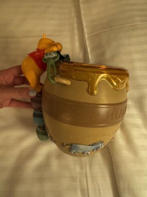 IMG_6781.jpeg