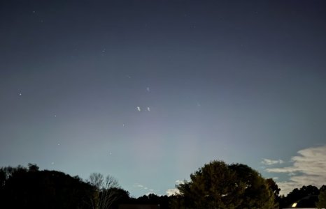 IMG_4341.jpeg