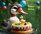Duck.jpg
