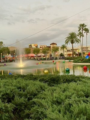 IMG_0216.jpeg