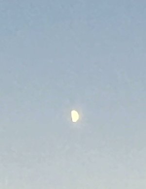 IMG_3686.jpeg
