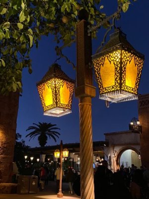IMG_0147.jpeg