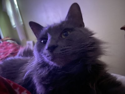 IMG_0834.jpeg