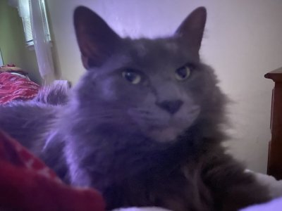 IMG_0833.jpeg