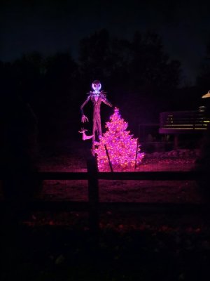 20241012_220831.jpg