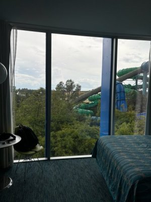 IMG_1566.jpg