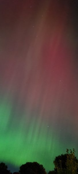 20241010_220220.jpg