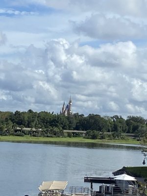 IMG_3318.jpeg