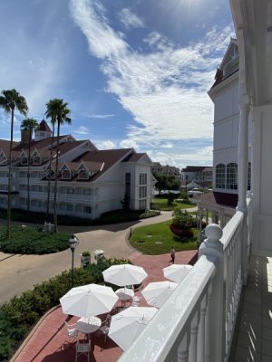IMG_3320.jpeg