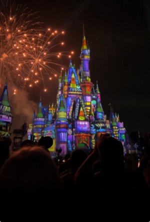 IMG_0031.jpeg
