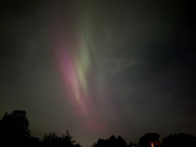 IMG_9449.jpeg