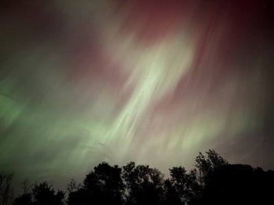 IMG_9466.jpeg