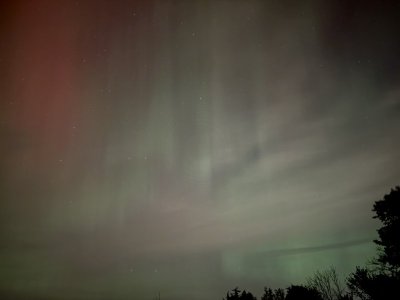 IMG_9512.jpeg