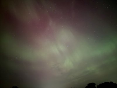 IMG_9524.jpeg