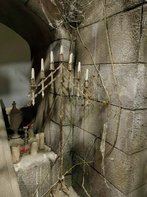 IMG_1578.jpeg