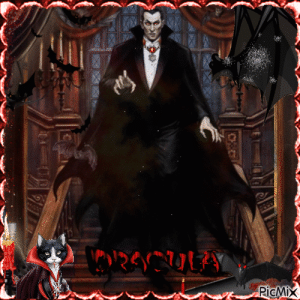 IMG_3991.gif