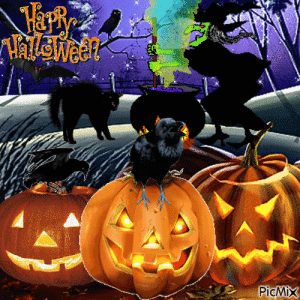 IMG_4312.gif