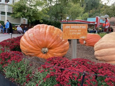 IMG_3969.jpeg