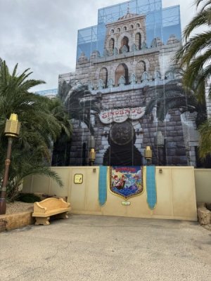 IMG_6831.jpeg