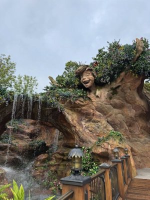 IMG_6841.jpeg