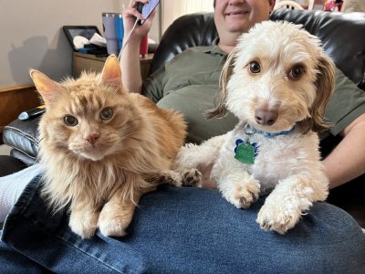 Morty and Hef.jpeg